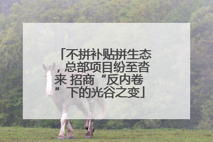 不拼补贴拼生态，总部项目纷至沓来 招商“反内卷”下的光谷之变