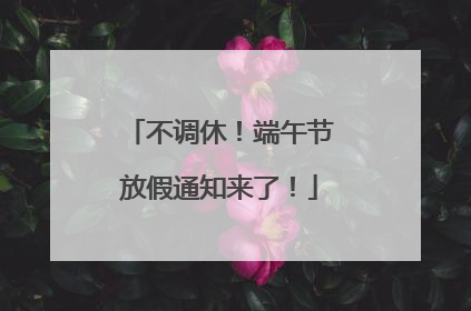 不调休！端午节放假通知来了！