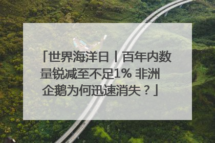 世界海洋日丨百年内数量锐减至不足1% 非洲企鹅为何迅速消失？