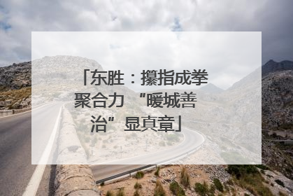 东胜：攥指成拳聚合力 “暖城善治”显真章