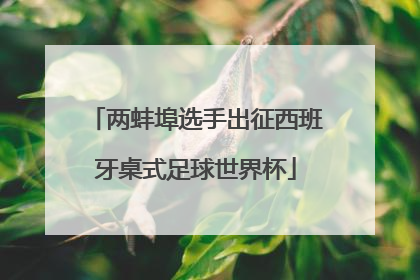 两蚌埠选手出征西班牙桌式足球世界杯