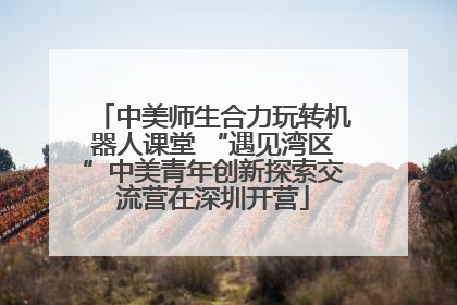 中美师生合力玩转机器人课堂 “遇见湾区”中美青年创新探索交流营在深圳开营