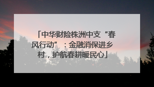 中华财险株洲中支“春风行动”：金融消保进乡村，护航春耕暖民心