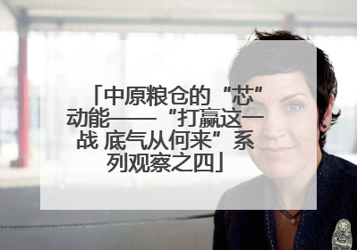 中原粮仓的“芯”动能——“打赢这一战 底气从何来”系列观察之四