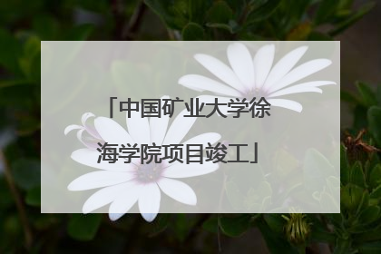 中国矿业大学徐海学院项目竣工