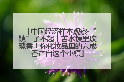 中国经济样本观察·“镇”了不起丨苦水镇里玫瑰香！你化妆品里的六成香产自这个小镇