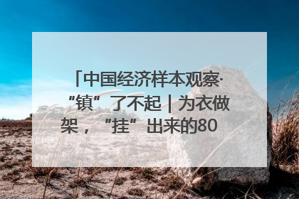 中国经济样本观察·“镇”了不起｜为衣做架，“挂”出来的80亿元“衣架产业”