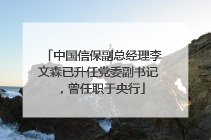 中国信保副总经理李文森已升任党委副书记，曾任职于央行