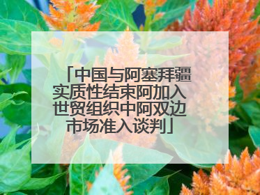 中国与阿塞拜疆实质性结束阿加入世贸组织中阿双边市场准入谈判