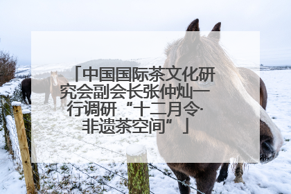 中国国际茶文化研究会副会长张仲灿一行调研“十二月令·非遗茶空间”