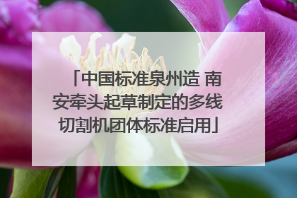 中国标准泉州造 南安牵头起草制定的多线切割机团体标准启用