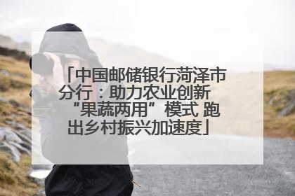 中国邮储银行菏泽市分行：助力农业创新 “果蔬两用”模式 跑出乡村振兴加速度
