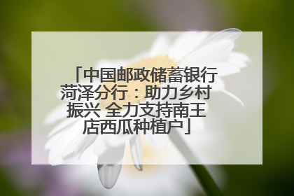 中国邮政储蓄银行菏泽分行：助力乡村振兴 全力支持南王店西瓜种植户