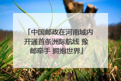 中国邮政在河南域内开通首条洲际航线 豫邮牵手 拥抱世界