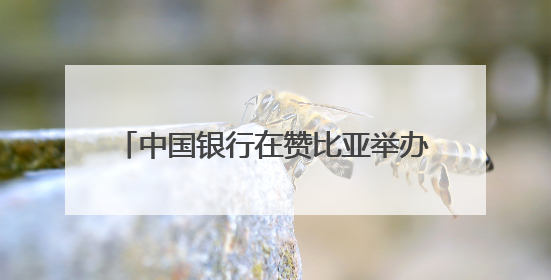中国银行在赞比亚举办人民币国际化推介会