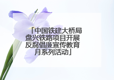中国铁建大桥局盘兴铁路项目开展反腐倡廉宣传教育月系列活动