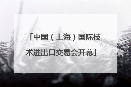 中国（上海）国际技术进出口交易会开幕