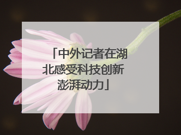 中外记者在湖北感受科技创新澎湃动力