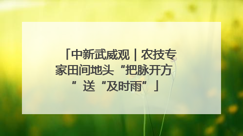 中新武威观｜农技专家田间地头“把脉开方”送“及时雨”
