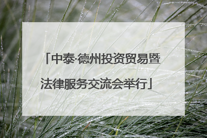 中泰·德州投资贸易暨法律服务交流会举行