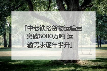 中老铁路货物运输量突破6000万吨 运输需求逐年攀升