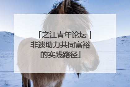 之江青年论坛｜非遗助力共同富裕的实践路径