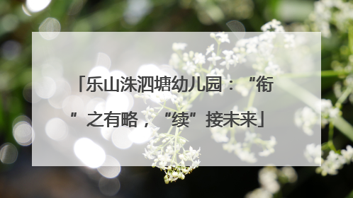 乐山洙泗塘幼儿园：“衔”之有略，“续”接未来