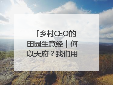 乡村CEO的田园生意经｜何以天府？我们用粮食作答④