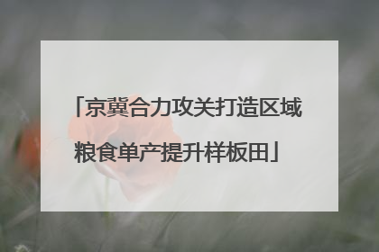 京冀合力攻关打造区域粮食单产提升样板田