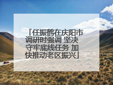 任振鹤在庆阳市调研时强调 坚决守牢底线任务 加快推动老区振兴