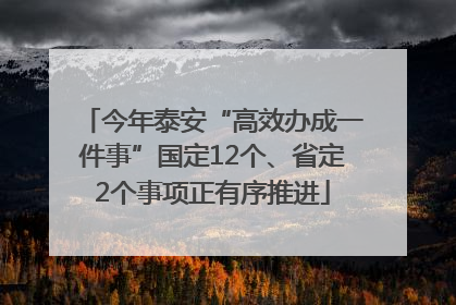 今年泰安“高效办成一件事”国定12个、省定2个事项正有序推进