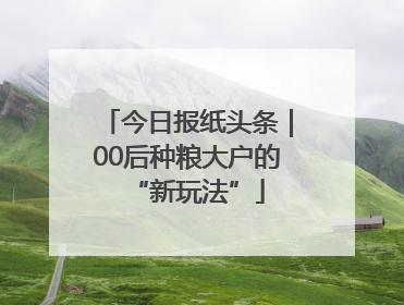 今日报纸头条｜00后种粮大户的“新玩法”