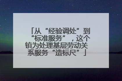 从“经验调处”到“标准服务”，这个镇为处理基层劳动关系服务“造标尺”