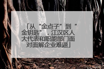 从“金点子”到“金钥匙”，江汉区人大代表和职能部门面对面解企业难题