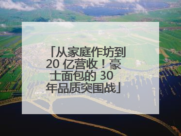 从家庭作坊到 20 亿营收！豪士面包的 30 年品质突围战