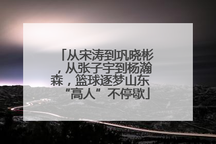 从宋涛到巩晓彬，从张子宇到杨瀚森，篮球逐梦山东“高人”不停歇