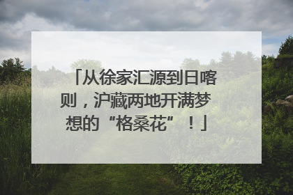 从徐家汇源到日喀则，沪藏两地开满梦想的“格桑花”！