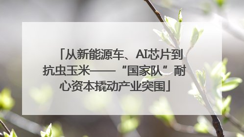 从新能源车、AI芯片到抗虫玉米——“国家队”耐心资本撬动产业突围