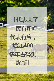 代表来了｜民有所呼代表有应，增江400多年古码头焕新
