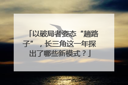 以破局者姿态“趟路子”，长三角这一年探出了哪些新模式？