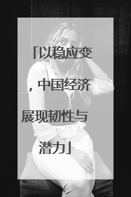 以稳应变，中国经济展现韧性与潜力