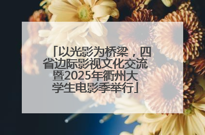 以光影为桥梁，四省边际影视文化交流暨2025年衢州大学生电影季举行