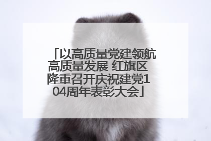 以高质量党建领航高质量发展 红旗区隆重召开庆祝建党104周年表彰大会