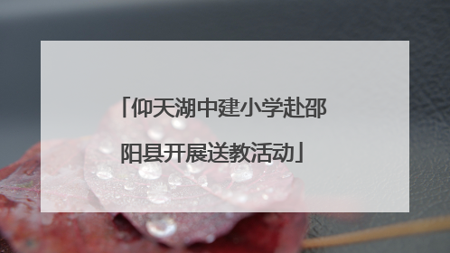 仰天湖中建小学赴邵阳县开展送教活动