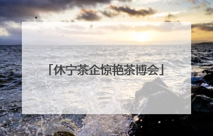 休宁茶企惊艳茶博会