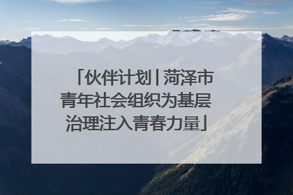 伙伴计划│菏泽市青年社会组织为基层治理注入青春力量