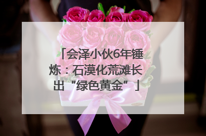 会泽小伙6年锤炼：石漠化荒滩长出“绿色黄金”