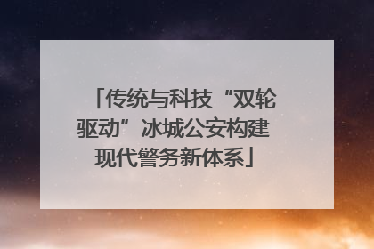 传统与科技“双轮驱动”冰城公安构建现代警务新体系