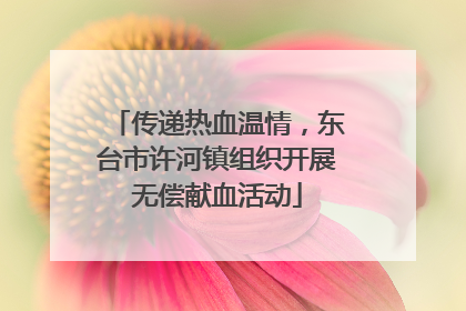 传递热血温情，东台市许河镇组织开展无偿献血活动