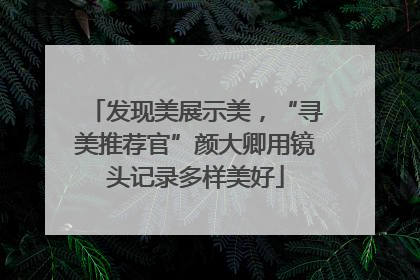 发现美展示美，“寻美推荐官”颜大卿用镜头记录多样美好